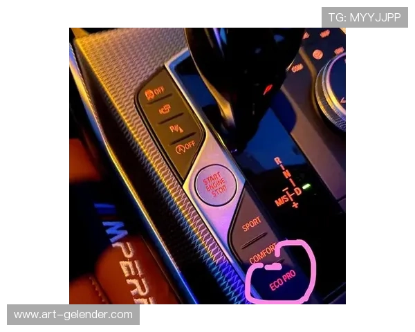 奔驰宝马单机电脑版游戏操作技巧与攻略，助你快速掌握驾驶技巧成为高手